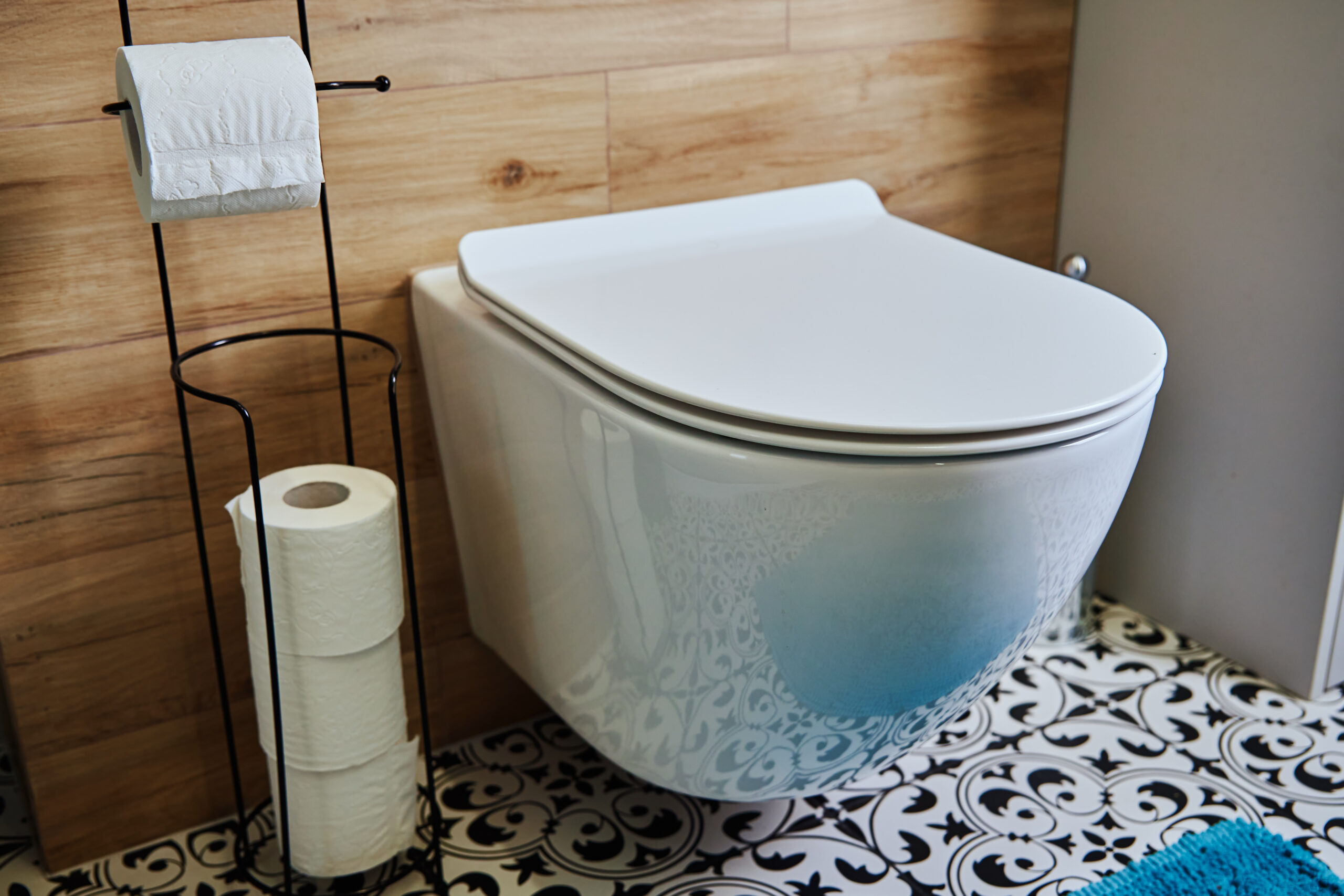 How to Install a Toilet